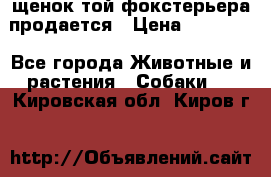 щенок той-фокстерьера продается › Цена ­ 25 000 - Все города Животные и растения » Собаки   . Кировская обл.,Киров г.